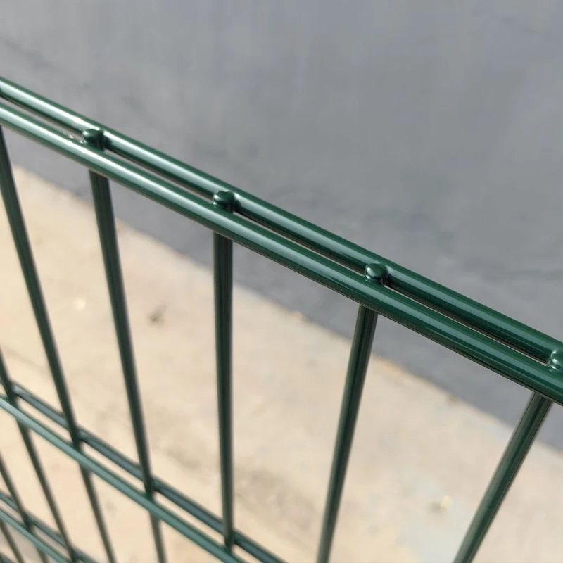 Double Wire Fence